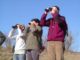 La observación se aves es una de las actividades más habituales de la asociación.