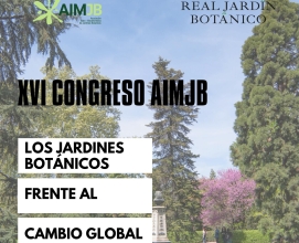 Cartel XVI Congreso AIMJB