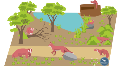 Lugares predilectos de defecación de diferentes especies de carnívoros. Ilustración Alicia Page y Jorge Ortiz.